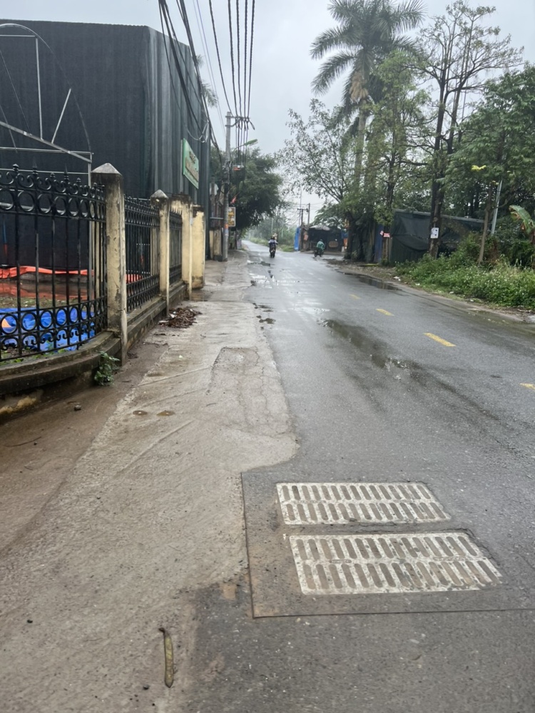 Z5064464082049 070c72f51ba584ef79aebd1fc8a24540