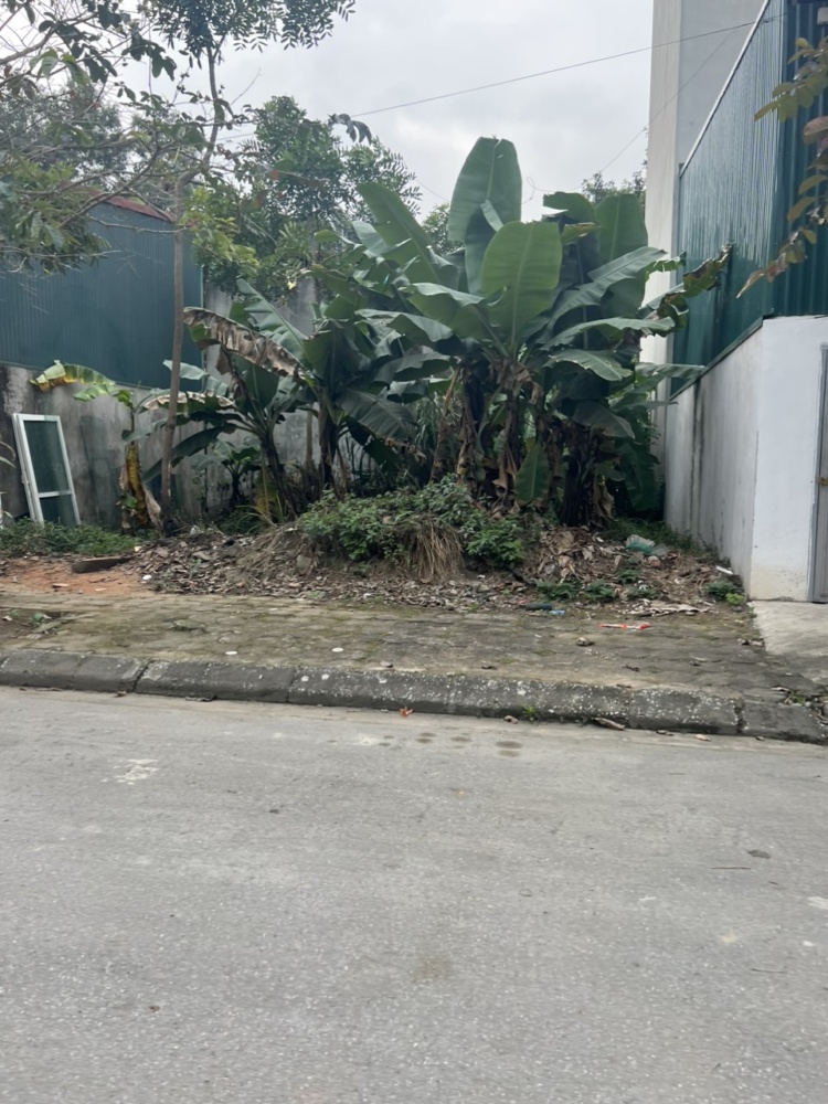 Z5101891085107 5066353db1041cbdb9514958aa25995f