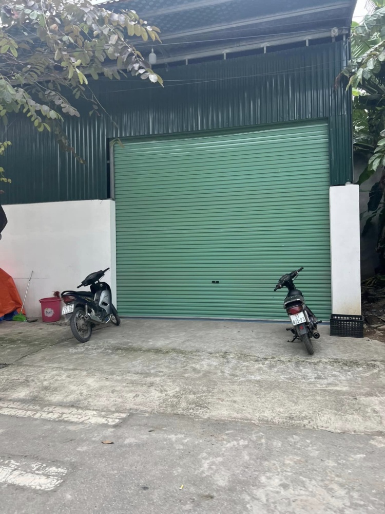 431951263 322213164192980 5685115882755538643 N