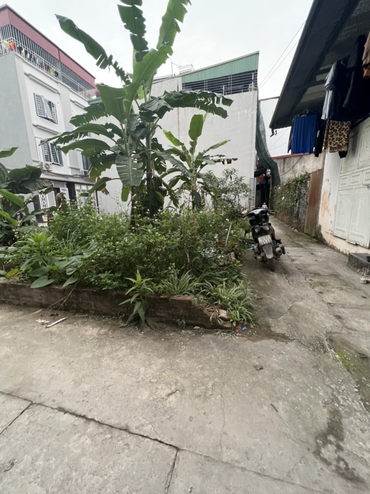 Z5277894418707 F415ce74c9a6c737cc9e6ff165df54b2