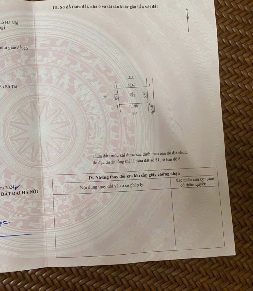 462033564 8154650791309844 6347466962078543757 N