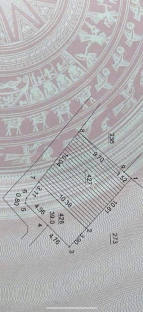 462083114 8154646744643582 5734667557480814388 N