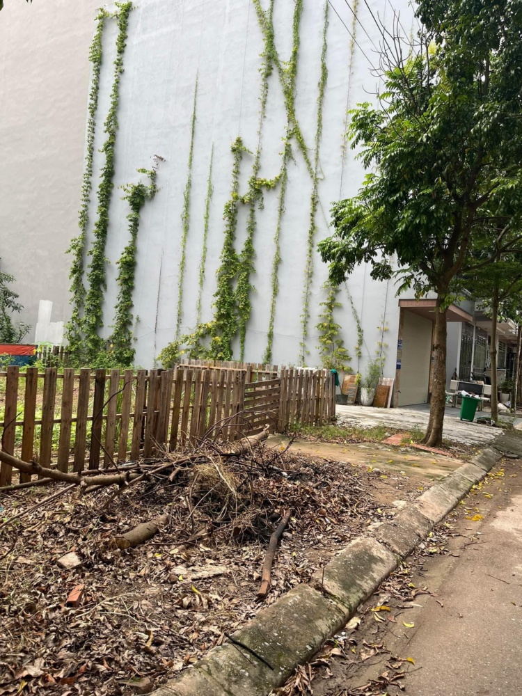 Z5886242973387 E1228c4768a67cd240a298469ba1f6f7