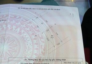 534849822 1491261975237637 1293304735830256480 n