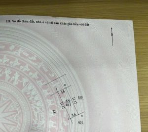 556889005 1615282499433313 738791314747519480 n