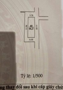 557989958 1605560983741520 6478309555762858334 n 1