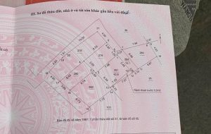 559732565 122186838764345940 5101162861453613499 n