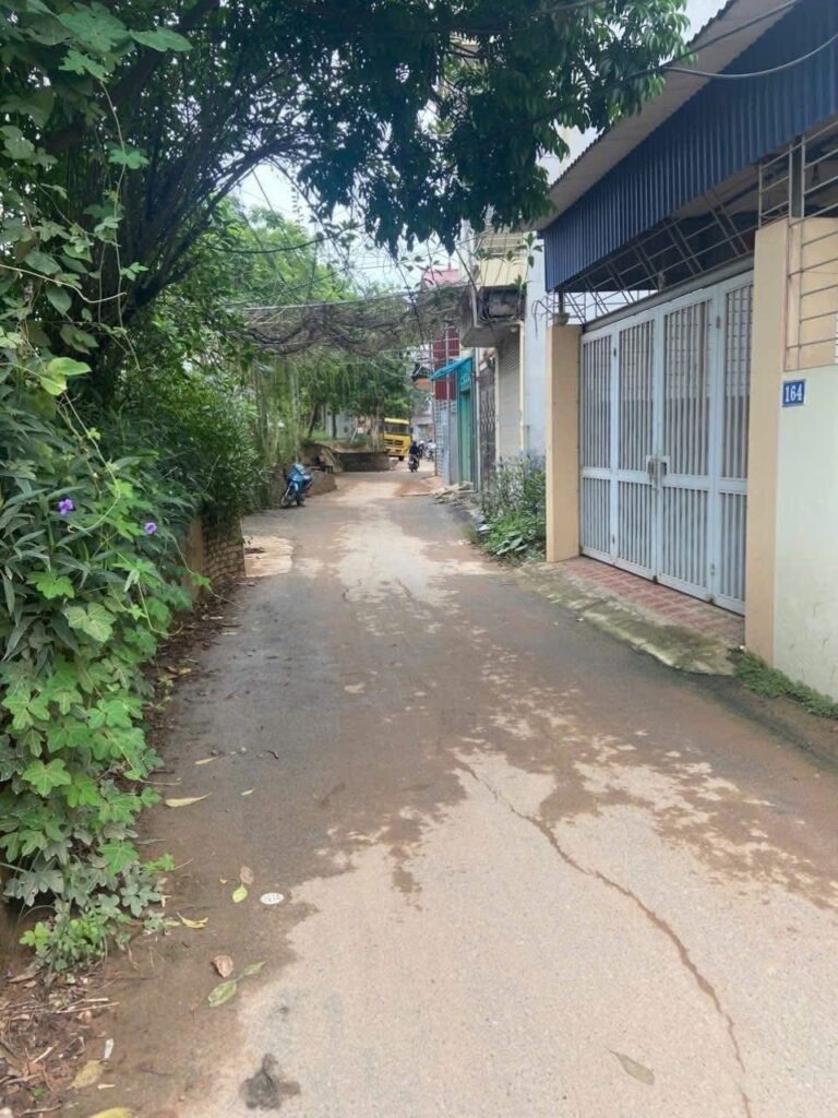 Đất dân cắt bán 61m đường ô tô tránh Yên Nghĩa 130tr/m 3 586340313 2927737554102119 1180067809888478510 n