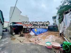 z7153620040440 19de973096050ddb6f8b353d61ea1f14