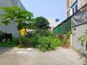 z7173376088909 7b17e3ada9ba3695390de56861e0c491 1